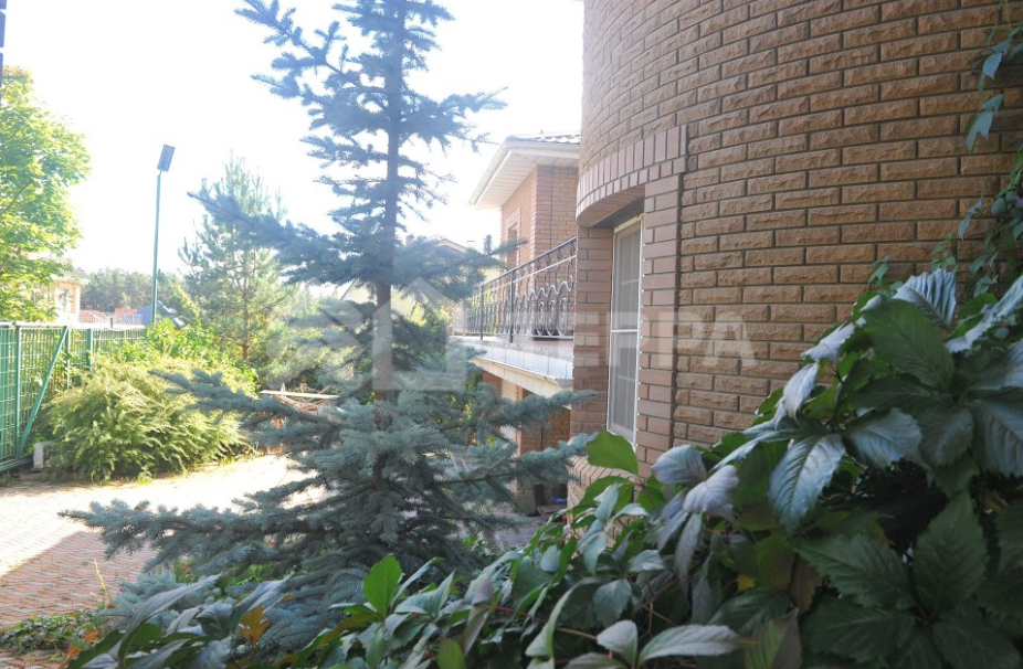 Объект ID 11792 - Дом