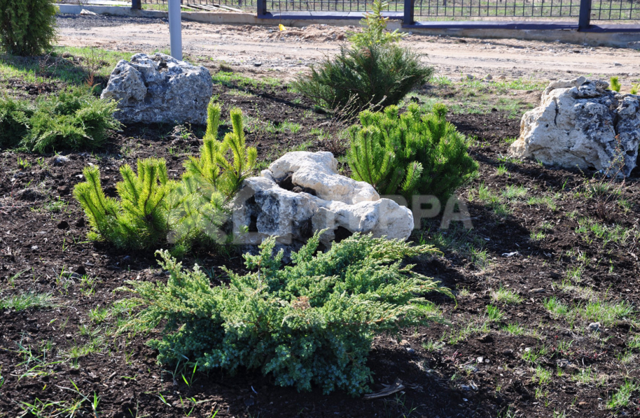 Николина Поляна