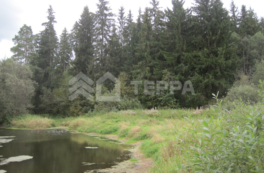 Объект ID 13260 - Участок