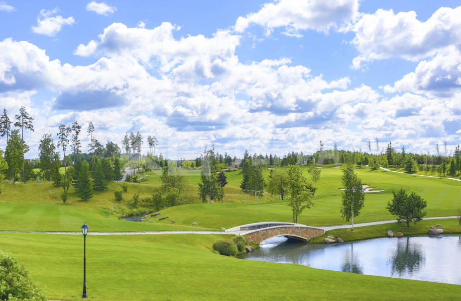 Объект ID 18423 - Участок