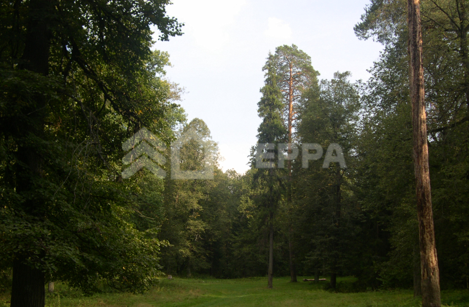 Объект ID 18770 - Участок