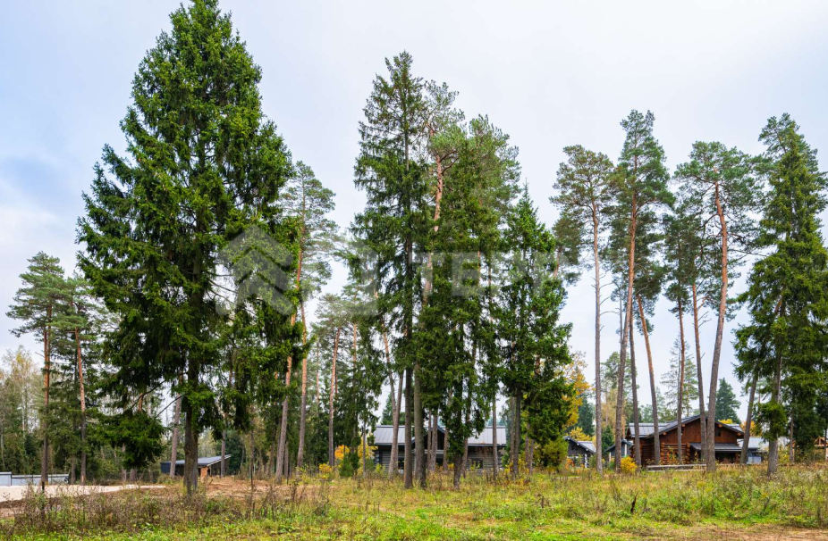 Объект ID 17674 - Участок