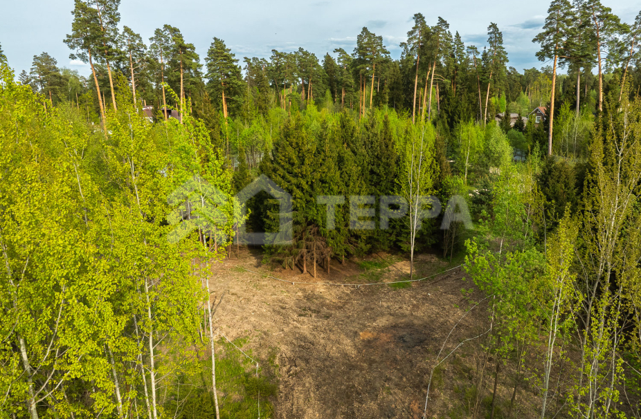 Объект ID 18566 - Участок