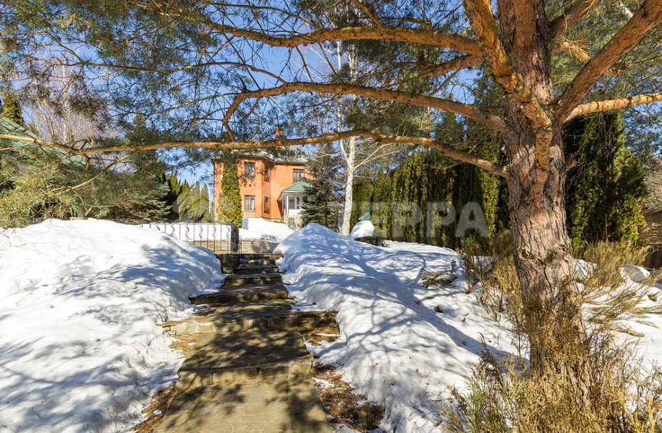 Объект ID 16777 - Дом