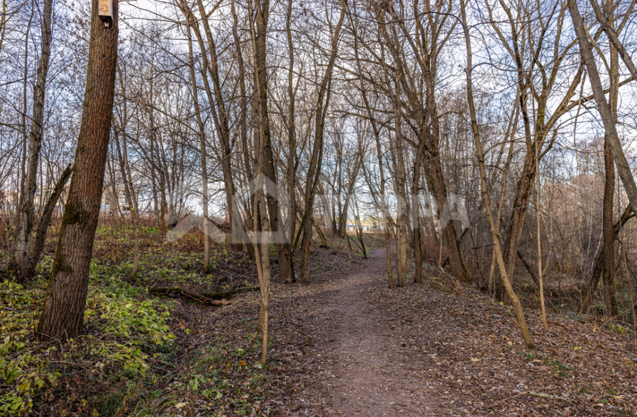 Объект ID 18292 - Участок