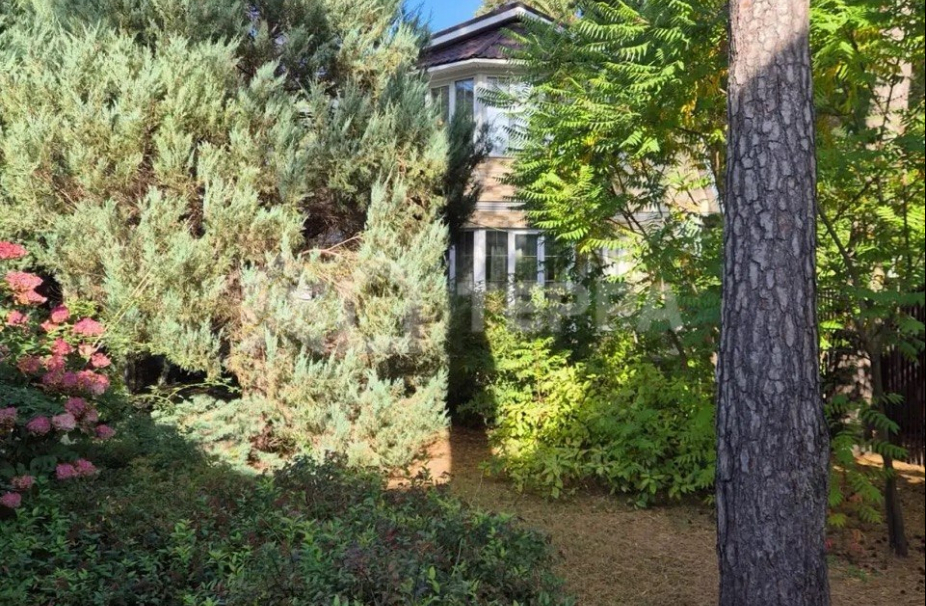 Объект ID 19138 - Дом