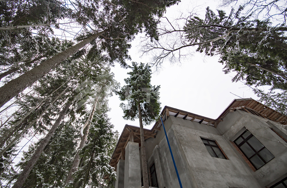 Объект ID 15950 - Дом