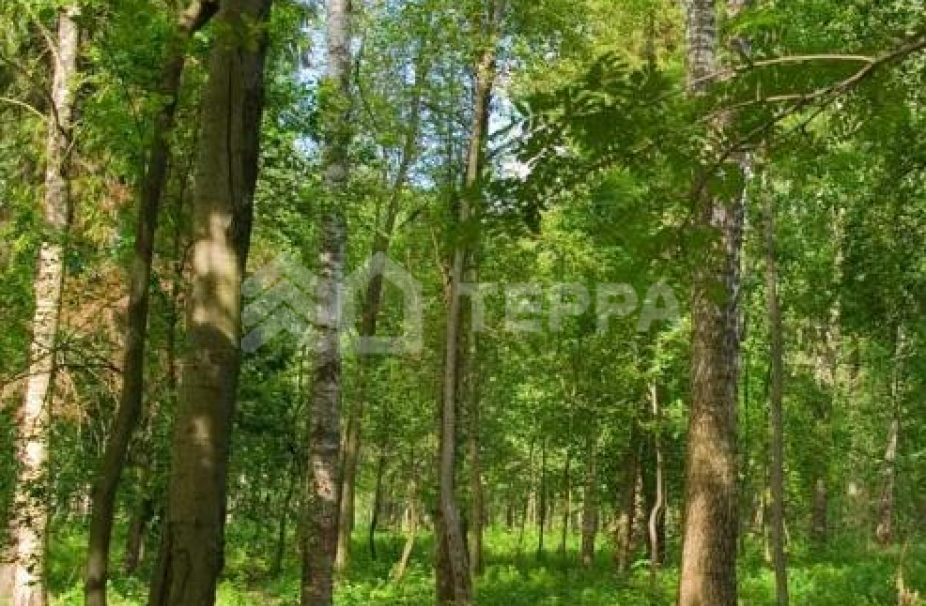 Новорижский  (Вилладжио)