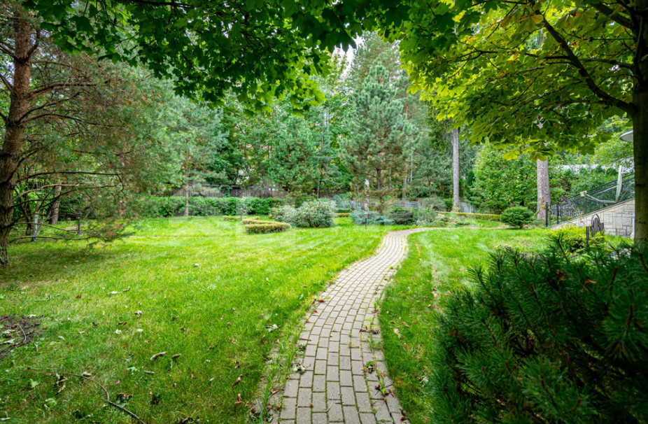 Объект ID 18168 - Дом