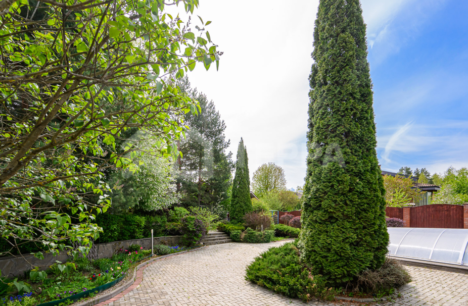 Объект ID 18655 - Участок