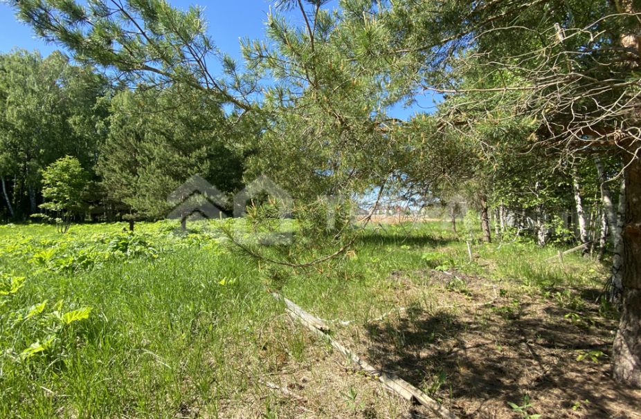 Объект ID 16848 - Участок