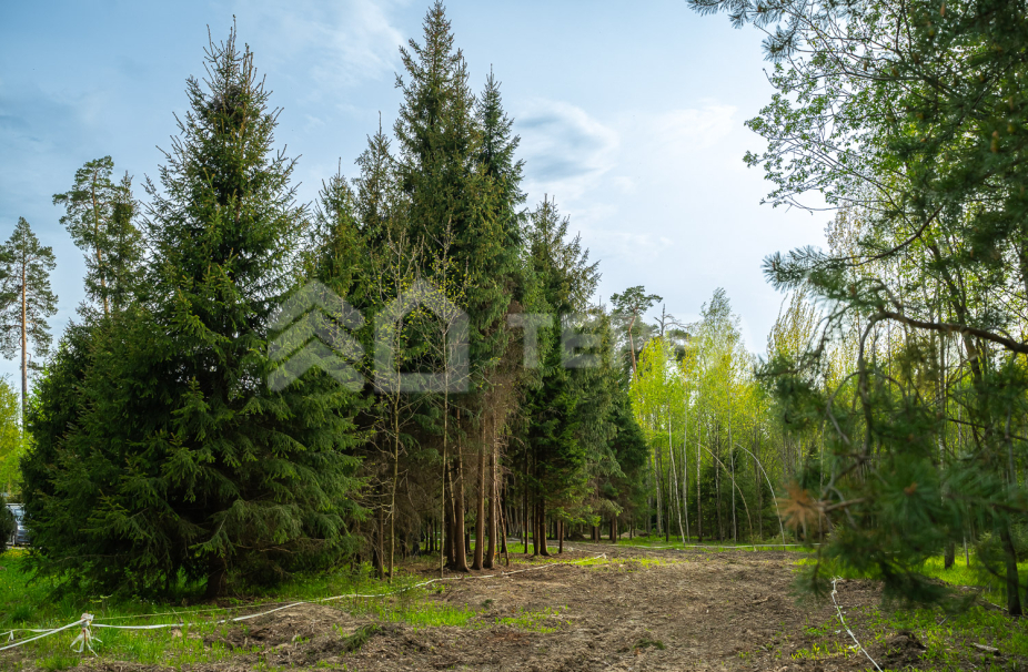 Объект ID 18568 - Участок