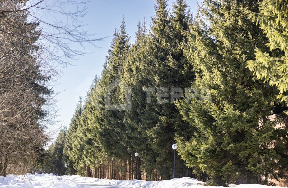 Объект ID 17973 - Участок