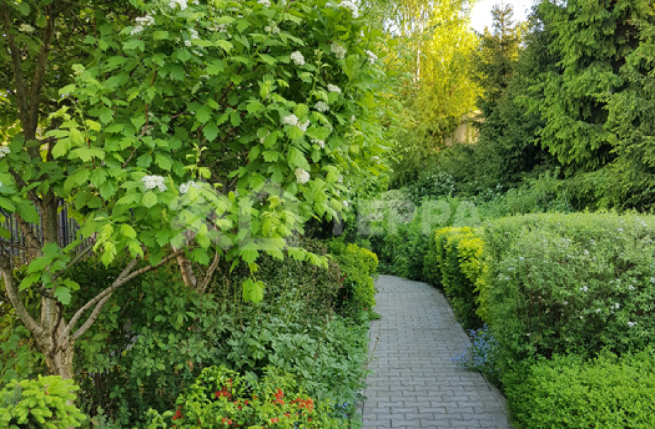 Объект ID 16474 - Дом