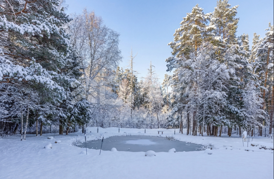 Объект ID 19035 - Дом