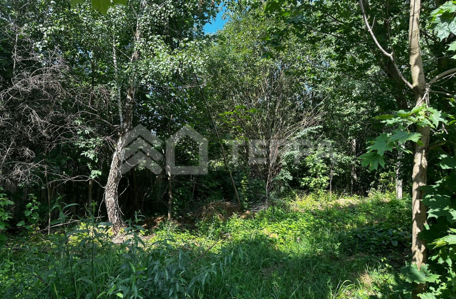 Объект ID 17735 - Участок