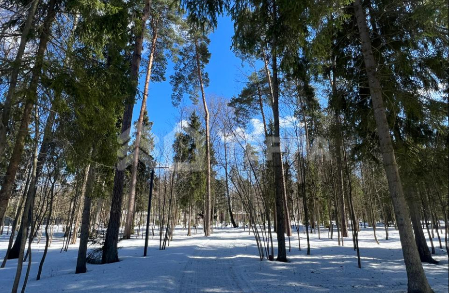 Объект ID 17959 - Участок