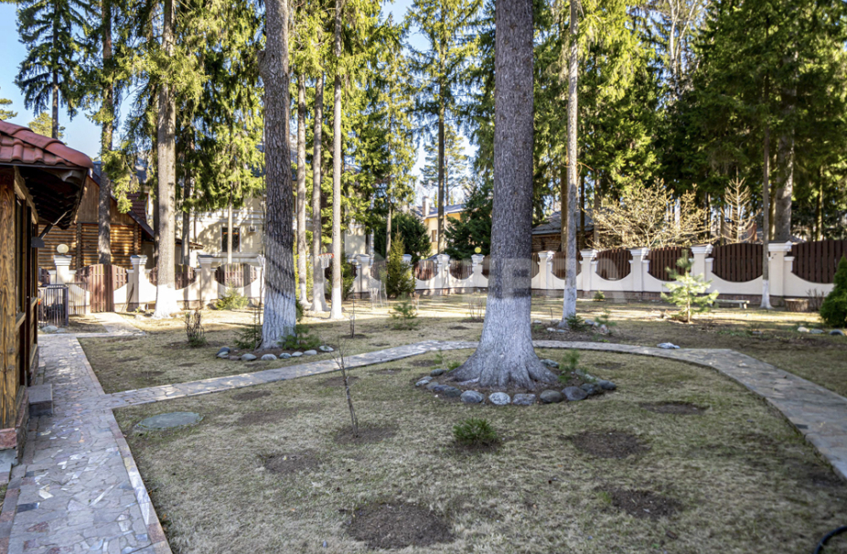 Объект ID 9976 - Дом