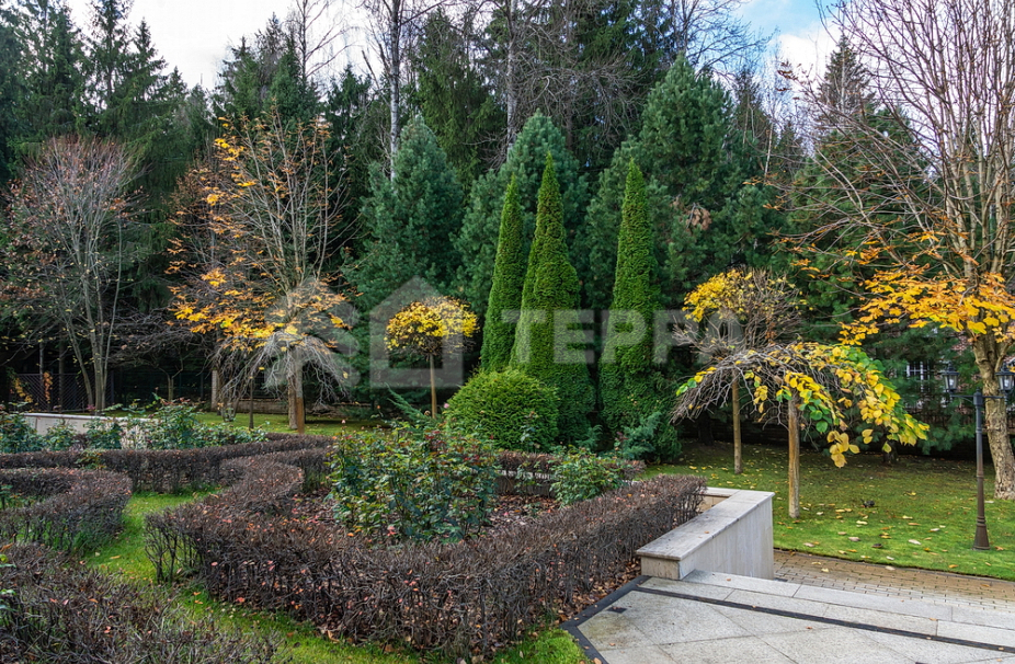 Объект ID 15818 - Дом