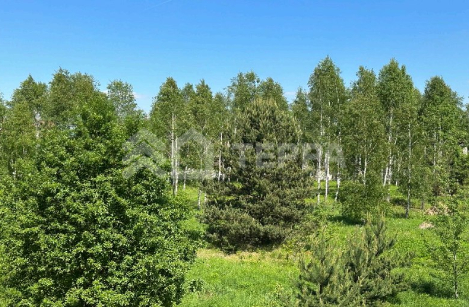 Объект ID 18963 - Участок