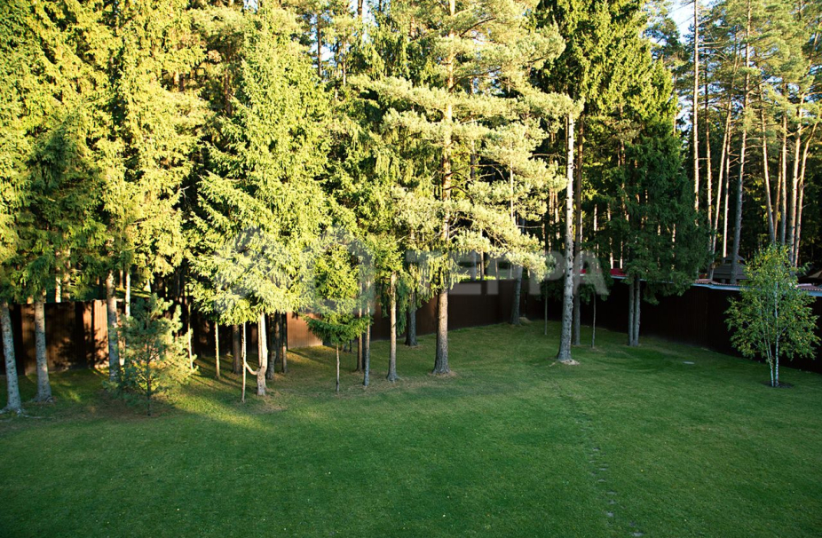 Объект ID 10081 - Дом