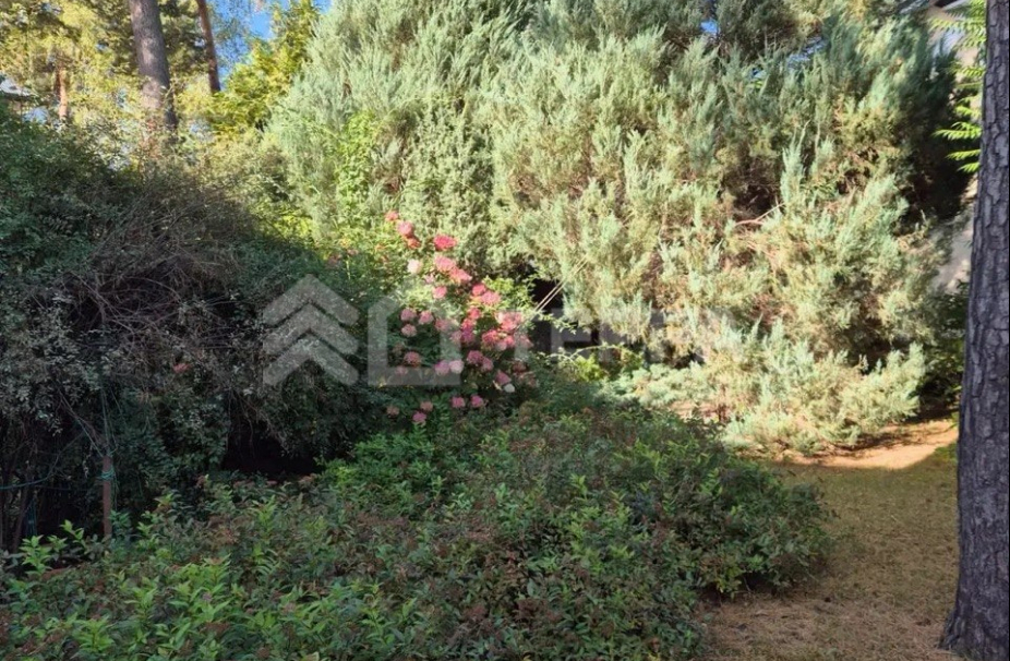 Объект ID 19138 - Дом