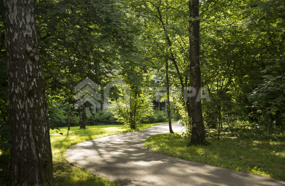 Объект ID 16732 - Участок