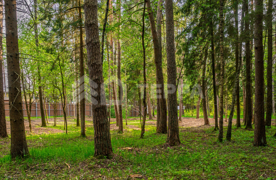 Объект ID 18575 - Участок