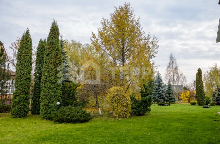 Объект ID 18596 - Дом