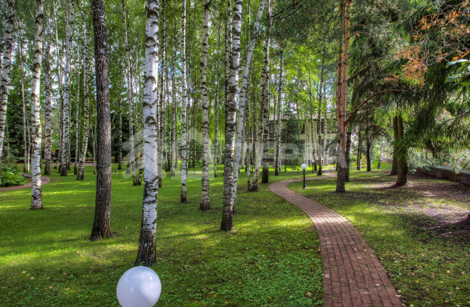 Объект ID 13140 - Дом