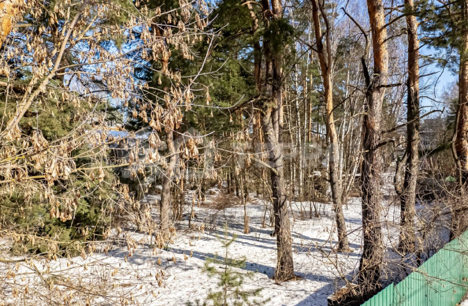 Объект ID 19160 - Участок