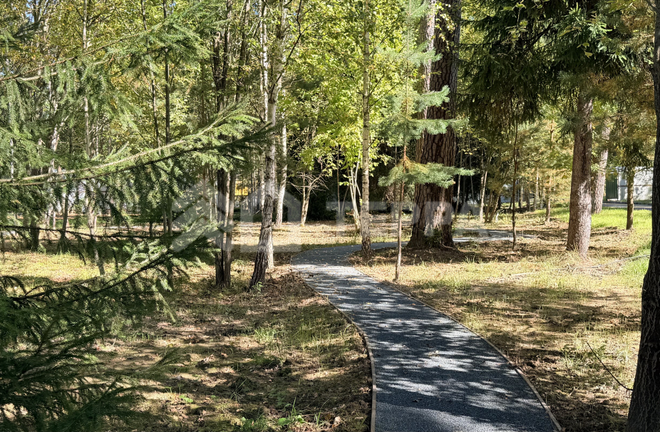 Объект ID 18568 - Участок
