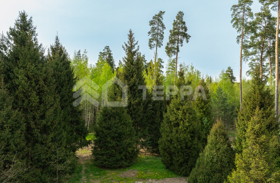 Объект ID 18571 - Участок