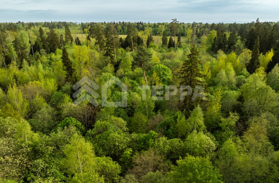 Объект ID 19291 - Участок