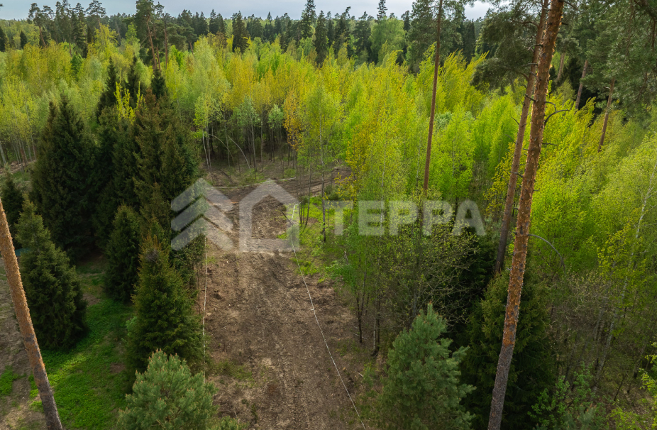 Объект ID 18565 - Участок