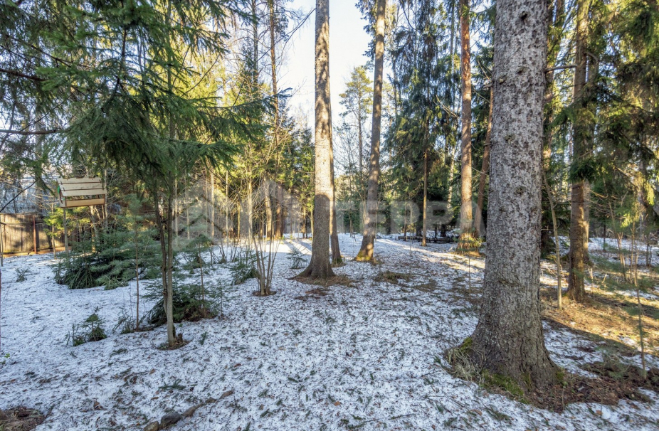 Объект ID 19114 - Дом