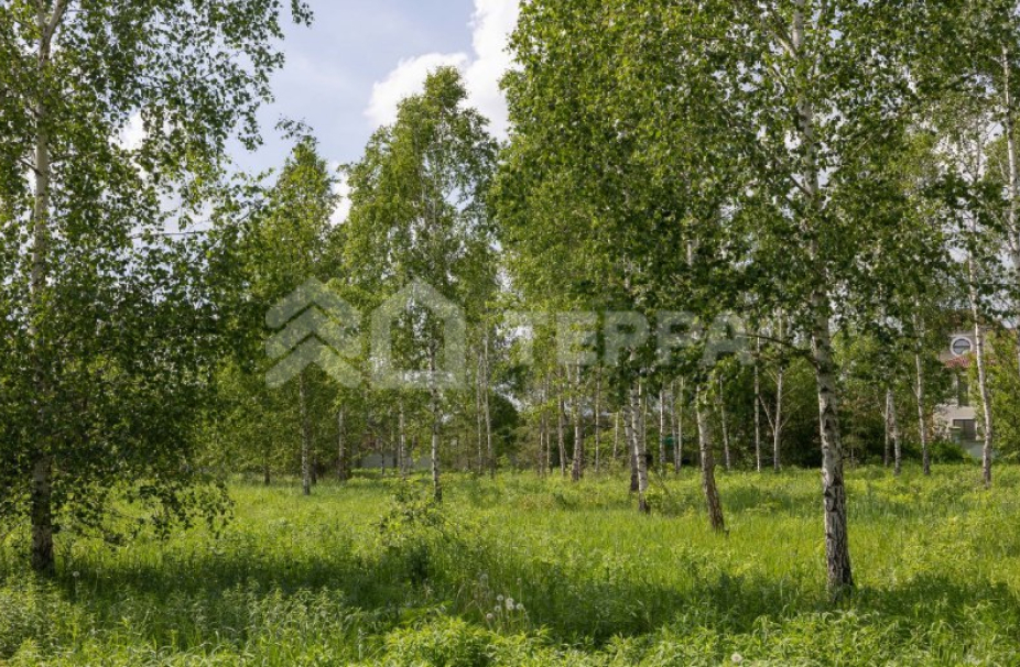 Объект ID 18963 - Участок