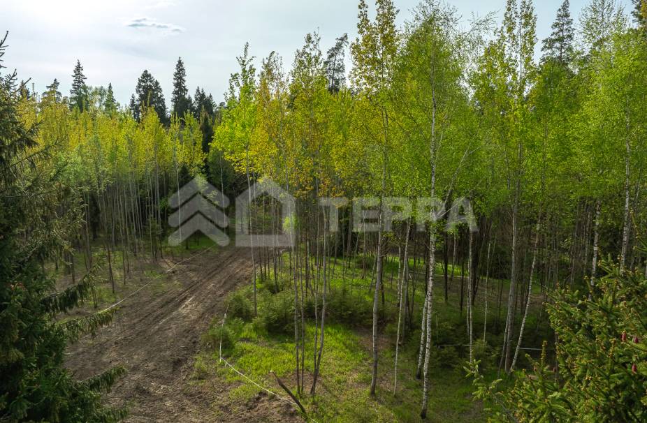 Объект ID 18567 - Участок