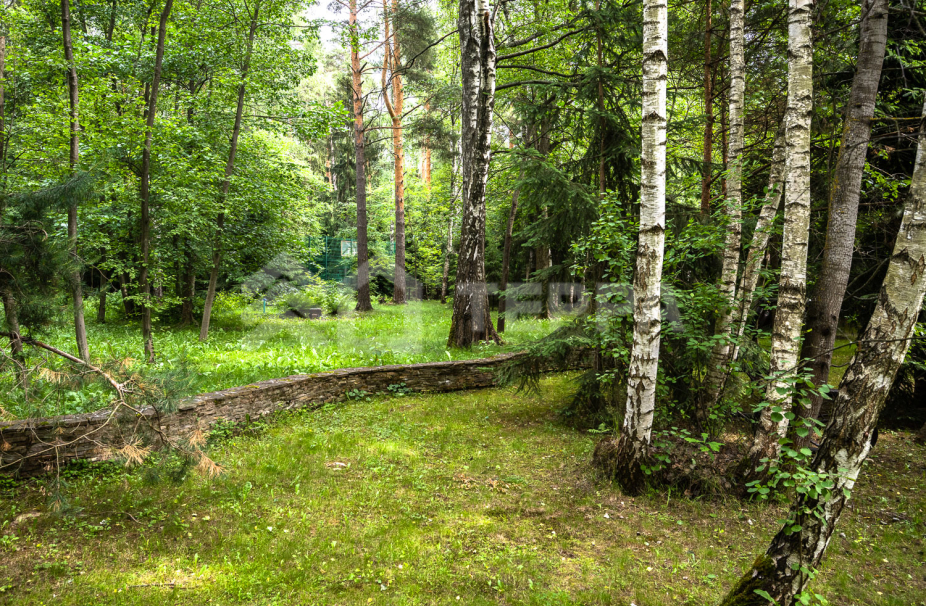 Объект ID 17496 - Дом