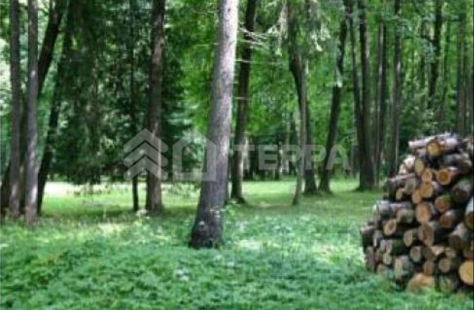 Объект ID 12129 - Дом