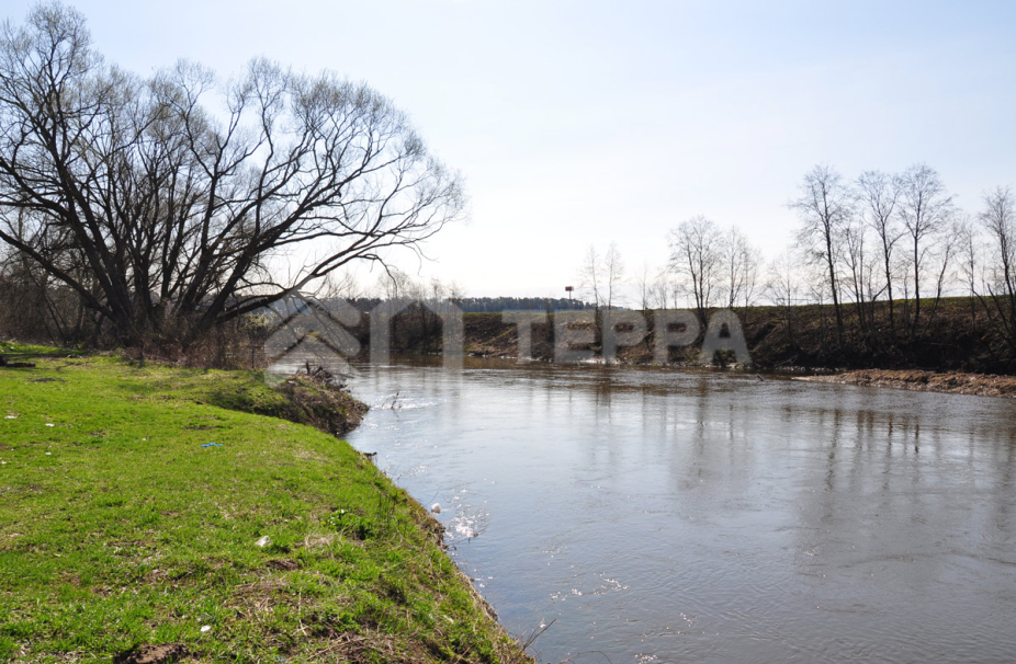 Николина Поляна