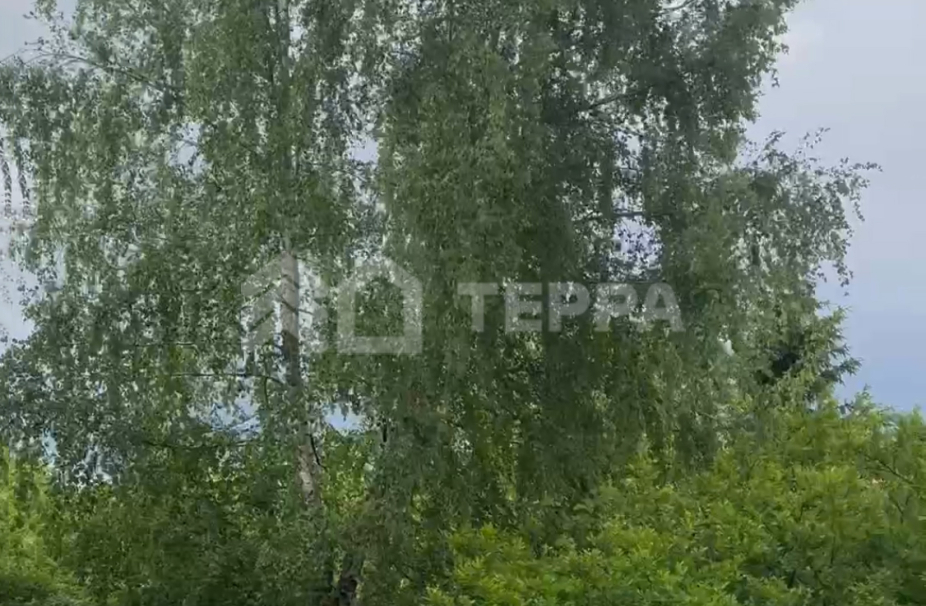 Объект ID 19224 - Участок