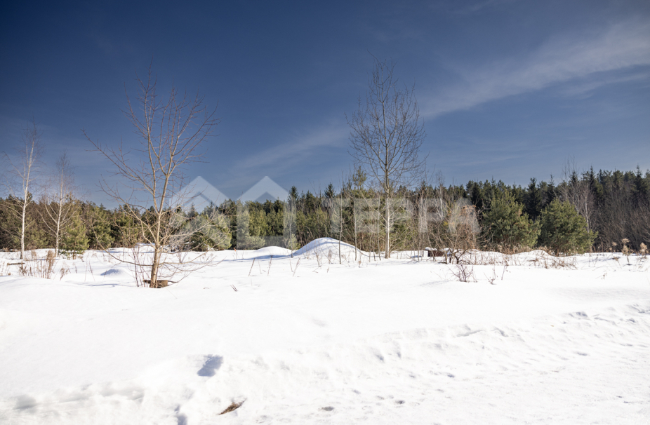 Объект ID 17973 - Участок