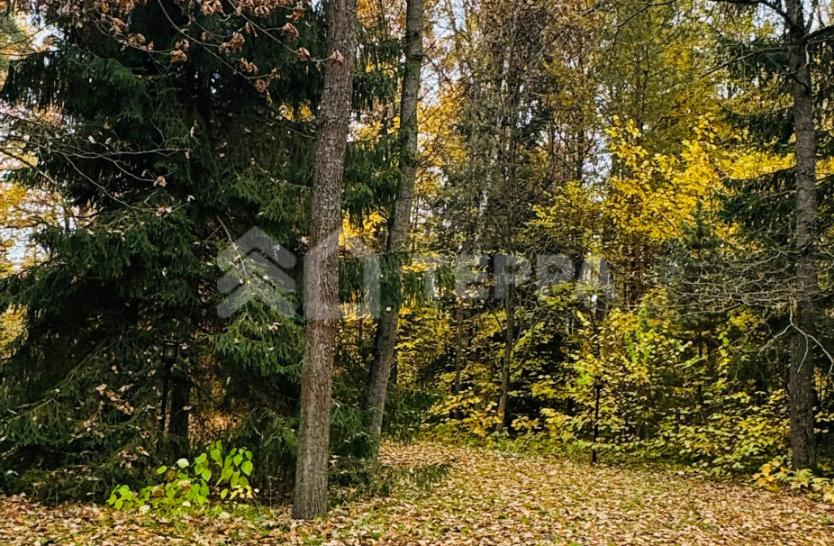 Объект ID 18993 - Участок