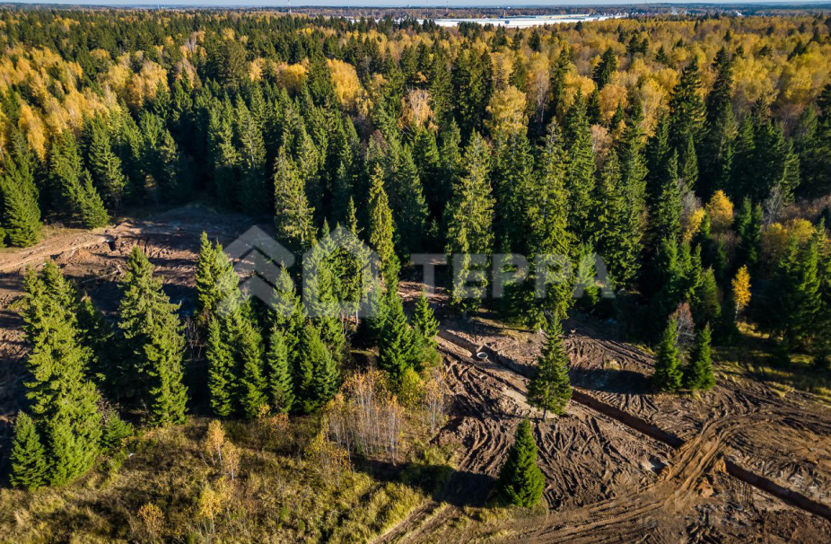 Объект ID 18178 - Участок