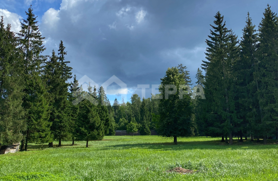 Объект ID 16628 - Участок