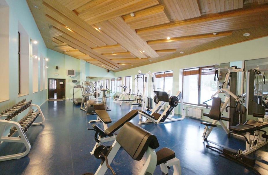 Горки-1 Дрофа