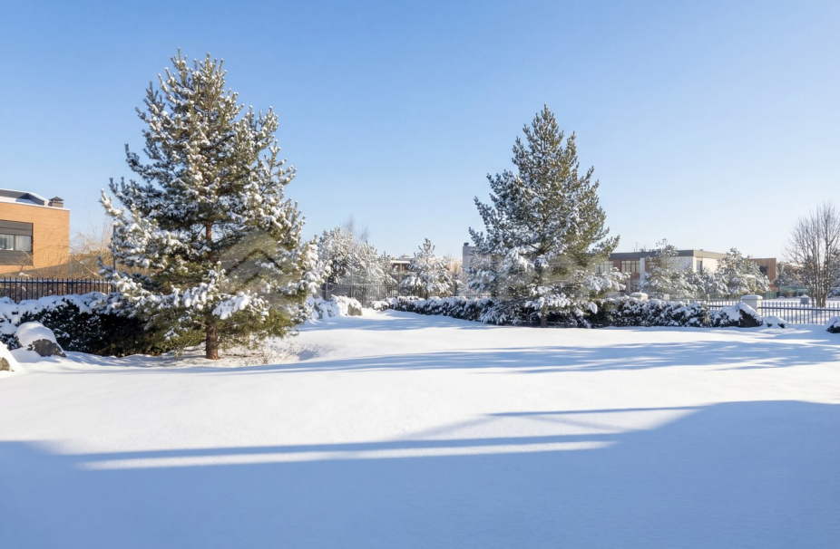 Объект ID 19149 - Дом