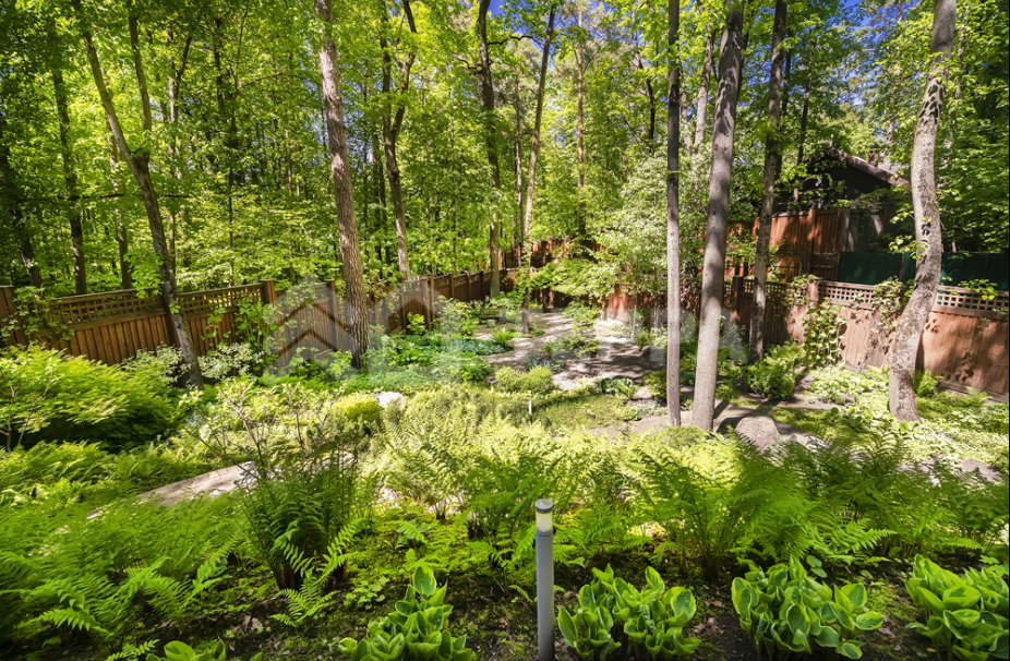 Объект ID 18146 - Дом