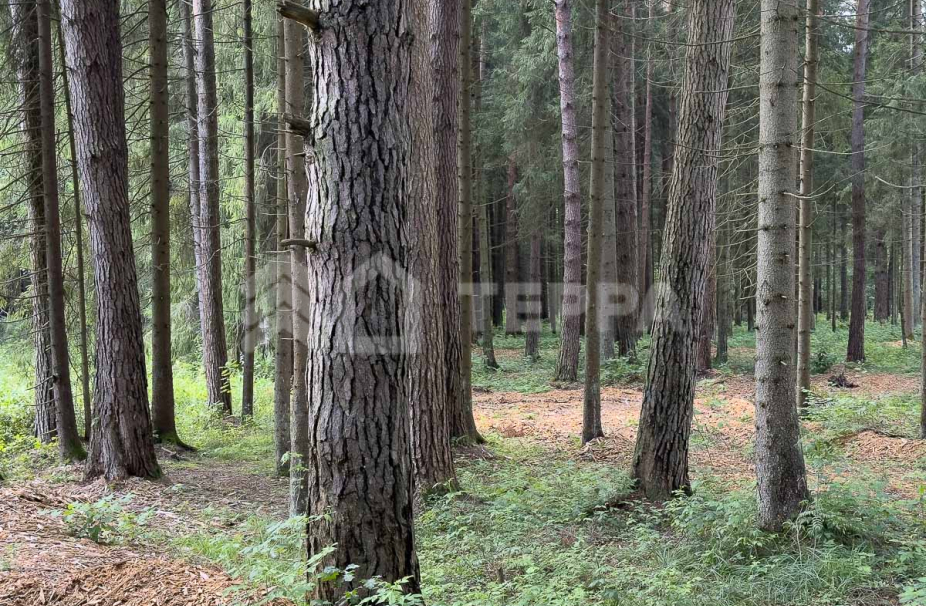 Объект ID 18968 - Дом